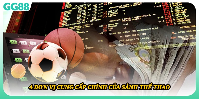 4 đơn vị cung cấp chính của sảnh thể thao
