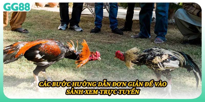 Các bước hướng dẫn đơn giản để vào sảnh xem trực tuyến