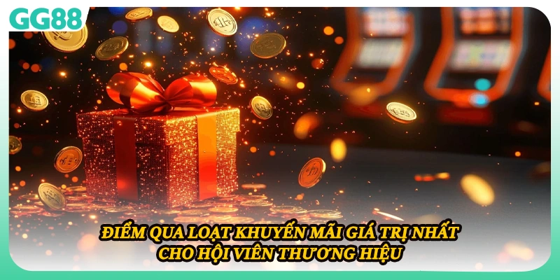 Điểm qua loạt khuyến mãi giá trị nhất cho hội viên thương hiệu