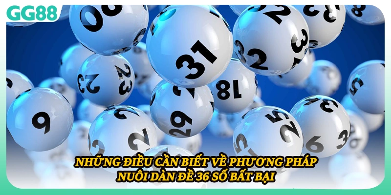 Những điều cần biết về phương pháp nuôi dàn đề 36 số bất bại