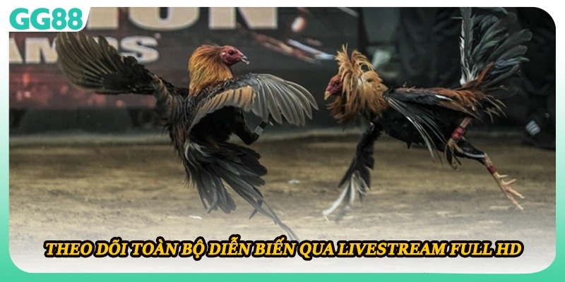 Theo dõi toàn bộ diễn biến qua livestream Full HD