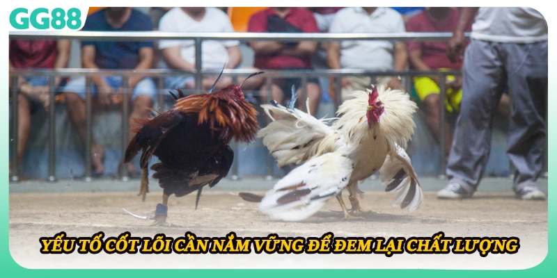 Yếu tố cốt lõi cần nắm vững để đem lại chất lượng